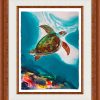 Coral Turtle