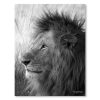 Kenya Lion King – Medium