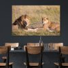 Lions Of Kenya – Large