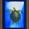 Blue Turtle Swim