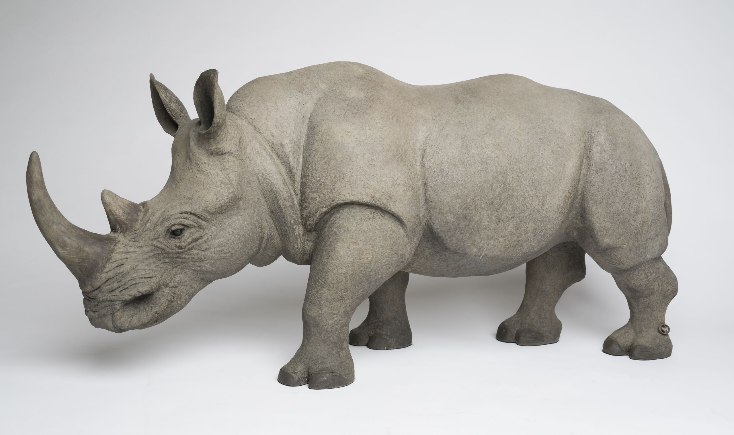 White Rhino – Wyland Worldwide