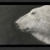 Thrive – Polar Bear