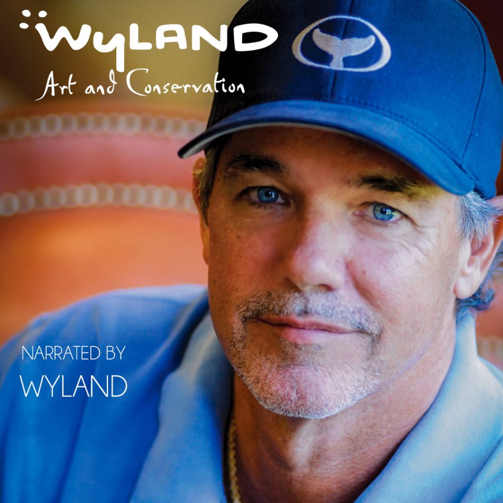 acg wyland
