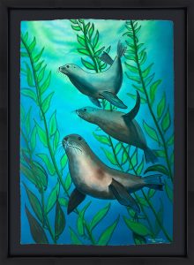 Sea Lions in the Kelp Forest