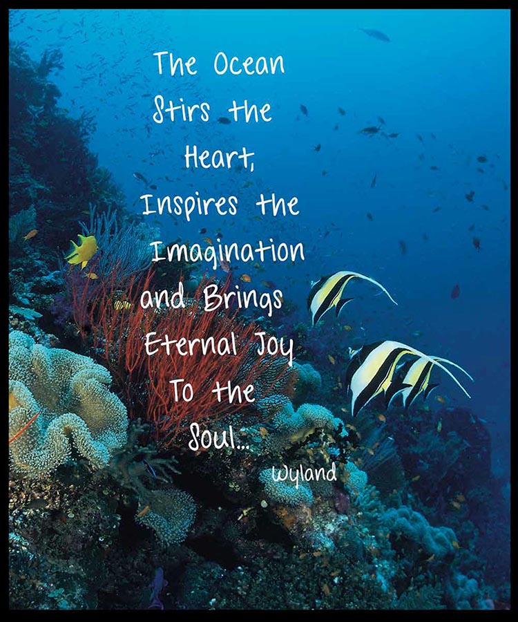 Wyland Wisdom Book - Image 2