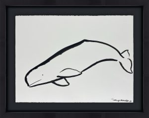Beluga