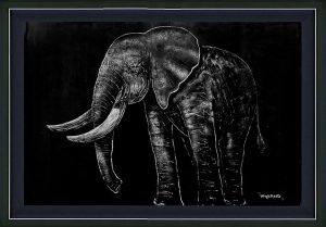 African Elephant