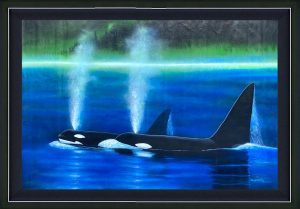 Orca Coast