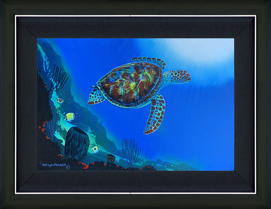 Coral Kingdom Voyage